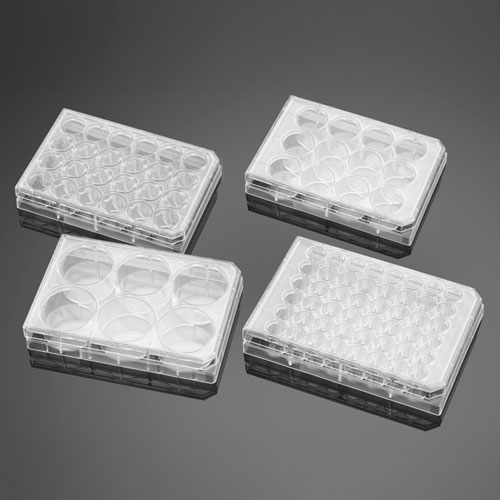 BD Falcon™ Multiwell Cell Culture Plates