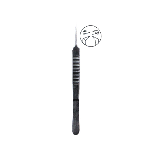 Steven Forcep 1x2 teeth, 스테븐 포셉 10cm 유구