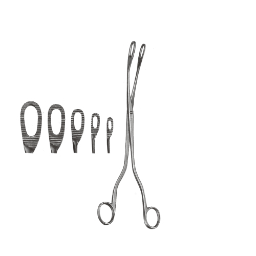 PLACENTA - 프라센타 태반겸자 25.4cm(2.2mm~15mm)