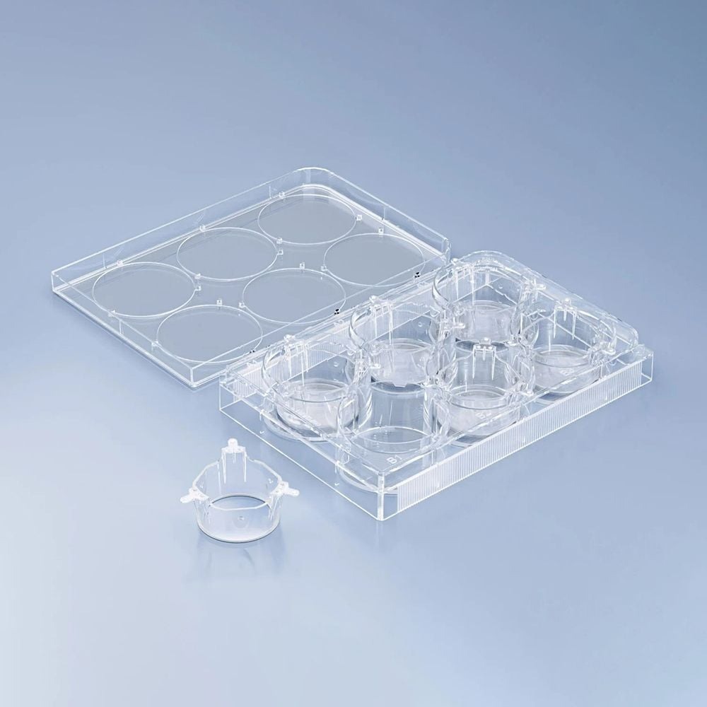 Sterlitech, cellQART® Pre-Loaded in Well Plates