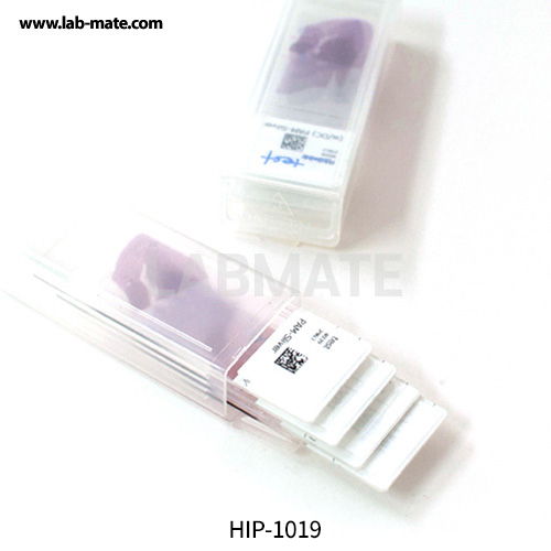Slide Storage Box (H)