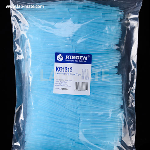 Pipette Tips, Extra Long