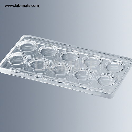 Staining Plates, Glass with cavities